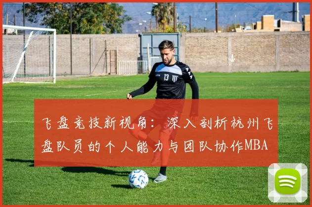 飞盘竞技新视角：深入剖析杭州飞盘队员的个人能力与团队协作MBA