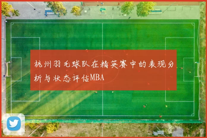 杭州羽毛球队在精英赛中的表现分析与状态评估MBA