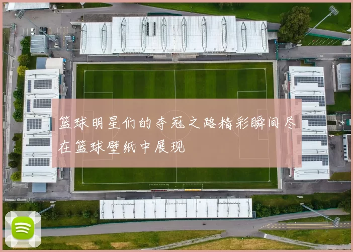篮球明星们的夺冠之路精彩瞬间尽在篮球壁纸中展现