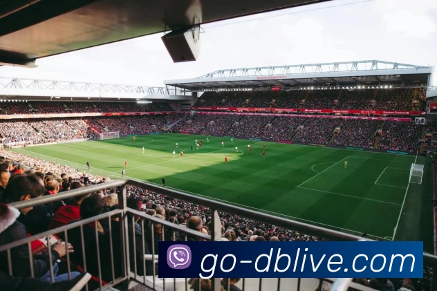 App Interface Preview