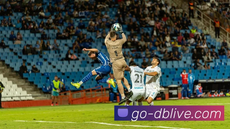 DB旗舰集团APP 封面图