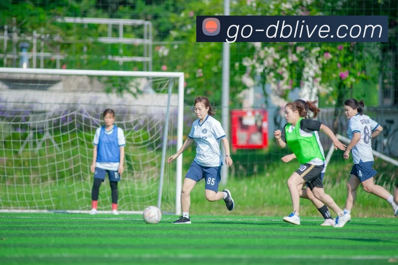 DB旗舰集团APP 高清赛事图